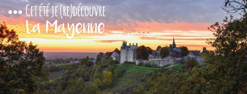 Au Pigeon Blanc Hotel Andouillé Екстериор снимка