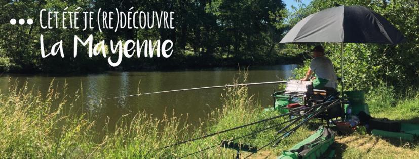 Au Pigeon Blanc Hotel Andouillé Екстериор снимка